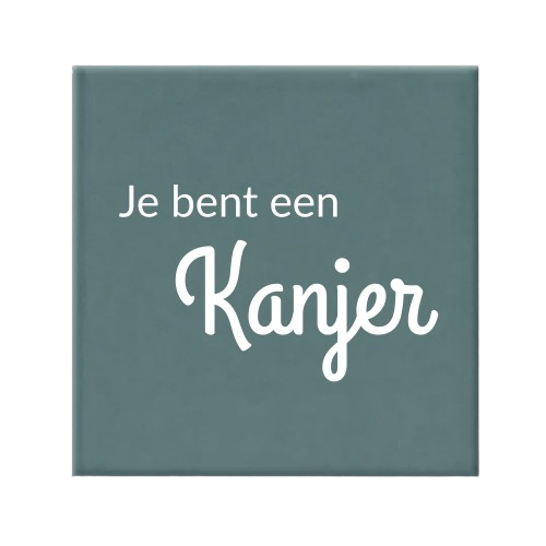 Tegel met tekst - je bent een kanjer